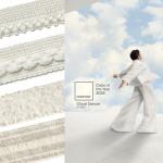 2026 Pantone年度代表色──雲舞白 產品推薦